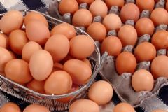 早餐吃一个鸡蛋的好处是什么？早餐吃鸡蛋对健康有哪些益处？