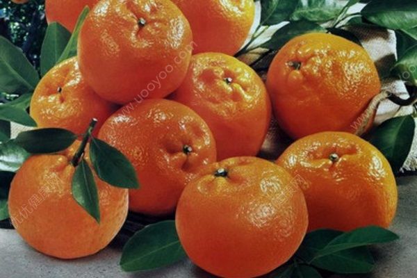 柑橘有什么营养价值？柑橘竟有这些食疗功效(3)