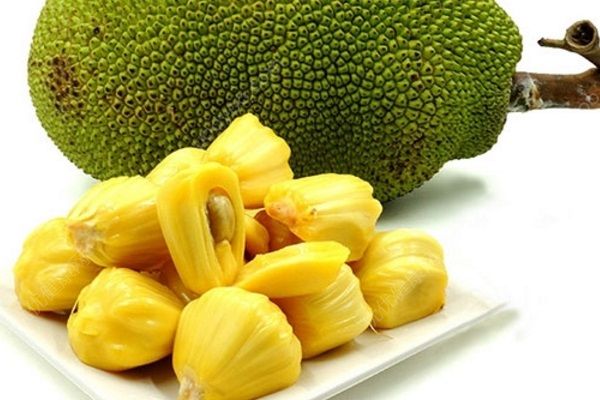 菠萝蜜不熟怎么吃？吃菠萝蜜有什么禁忌注意？(2)