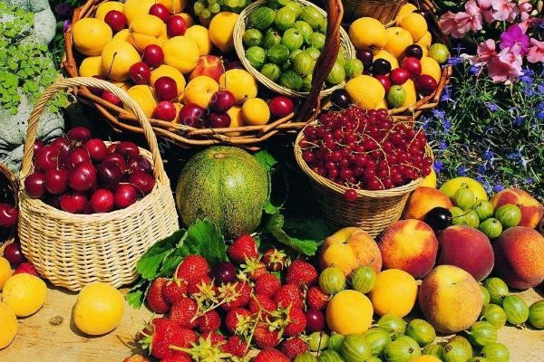 每天吃多少水果最好？吃水果的4种讲究(1)