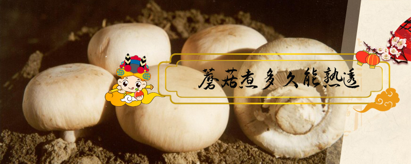 蘑菇煮多久能熟透