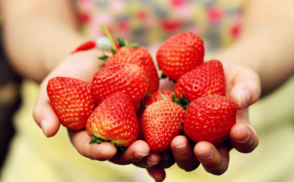 夏季养生适合吃哪些水果？夏季养生适合吃什么水果？(1)