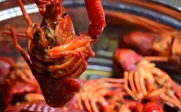 吃小龙虾可以喝红酒吗？吃小龙虾能喝红酒吗？(1)
