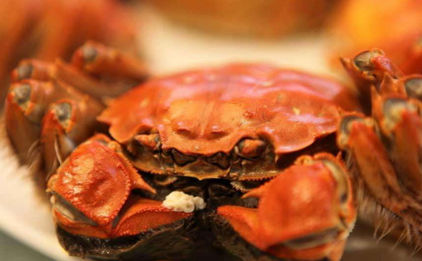 哪些孩子不能吃螃蟹？吃螃蟹要注意的问题有哪些？(1)