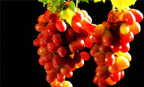 吃葡萄对皮肤的好处，吃葡萄是长期的护肤保养品