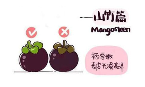山竹水果的正确吃法漫画，挑选水果的正确吃法山竹篇