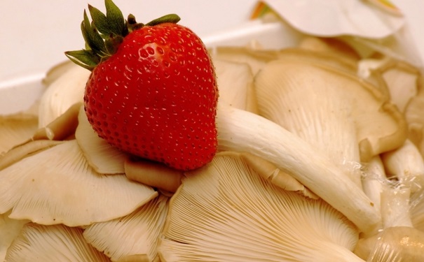 蘑菇的优点有哪些？吃蘑菇对健康的好处是什么？(1)
