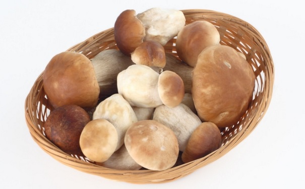 吃蘑菇有哪些好处？常见4类蘑菇的独特功效(1)