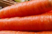 每天生吃一根胡萝卜可以减肥吗 减肥为啥不能吃胡萝卜